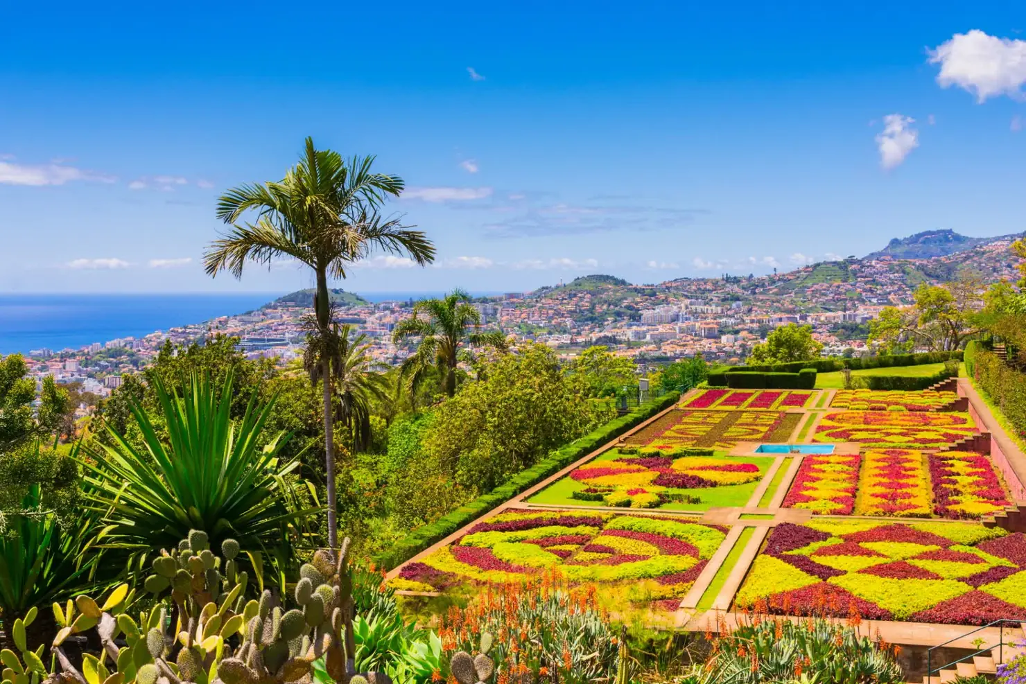 The geometric carpet-bedding parterre at Madeira's botanical garden, on terraces above Funchal bay