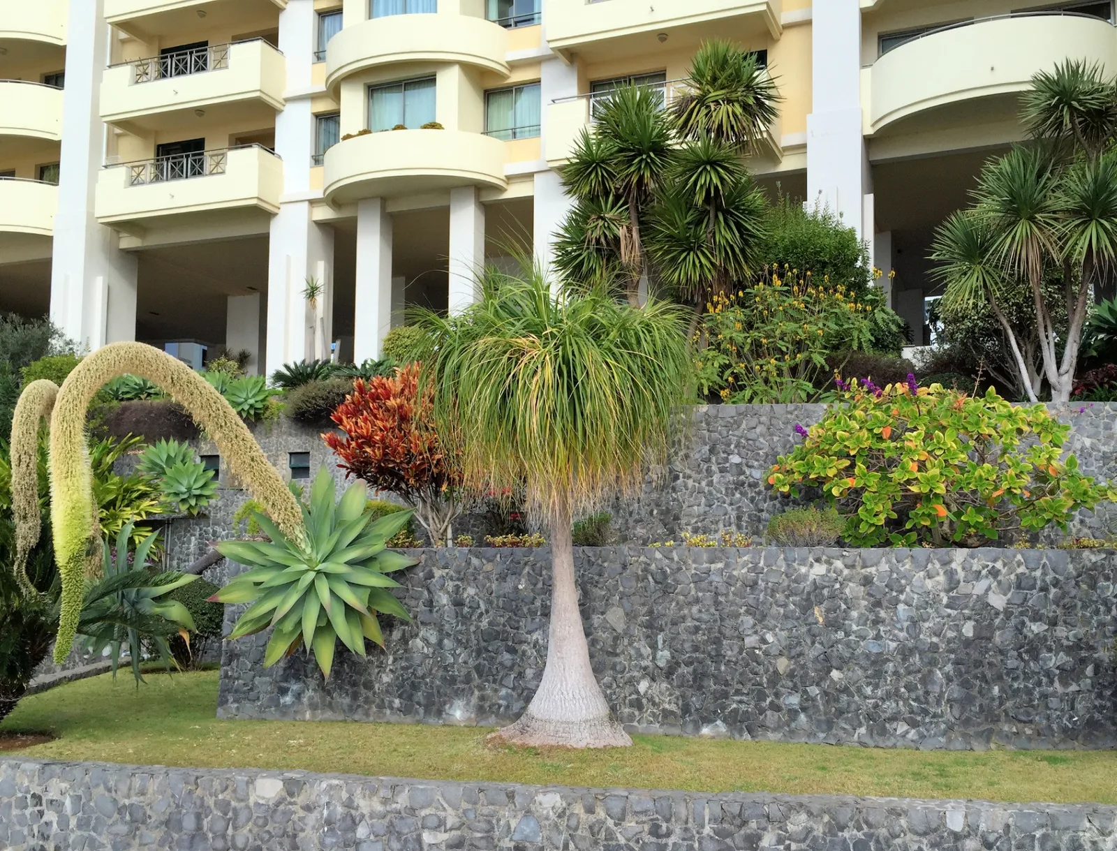 Building facade with tropical plants and agave
