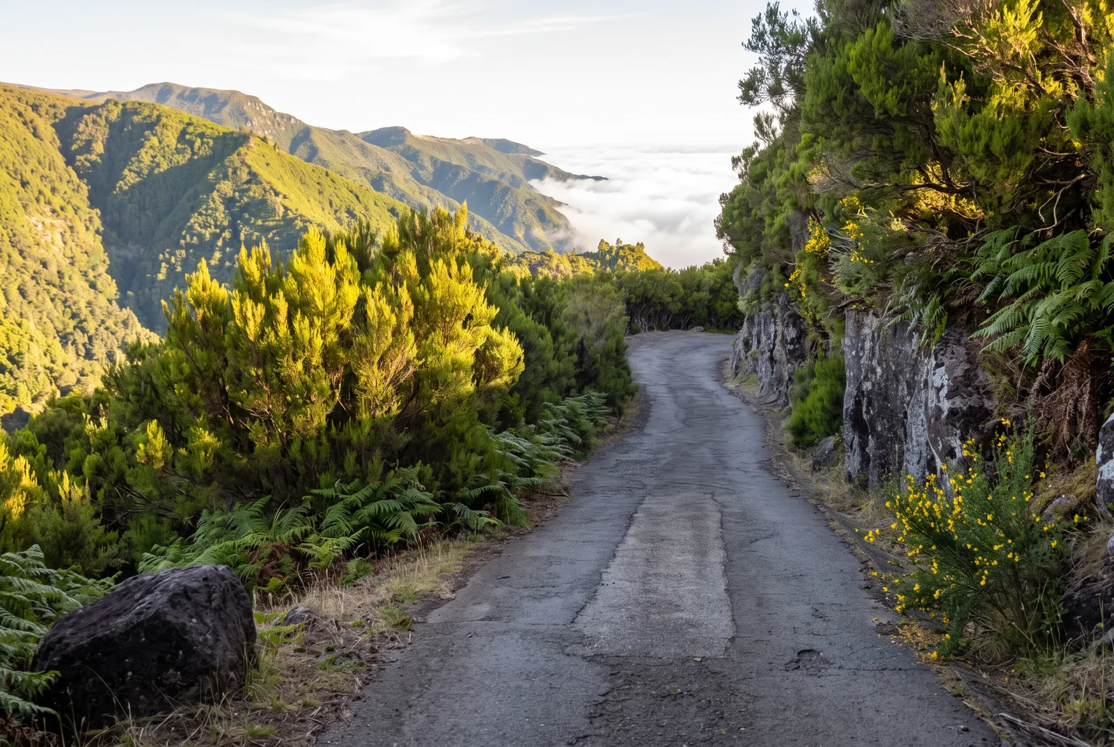 A narrow single-lane road descending through heather with a sea of cloud beyond