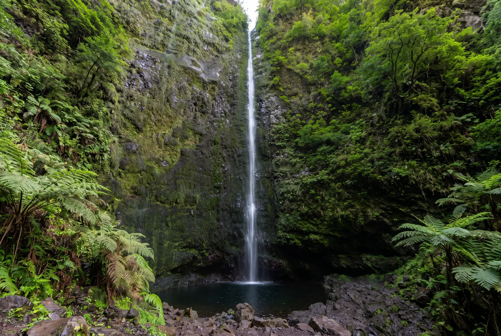 A very tall thin waterfall dropping into a dark green pool in a fern-covered amphitheatre