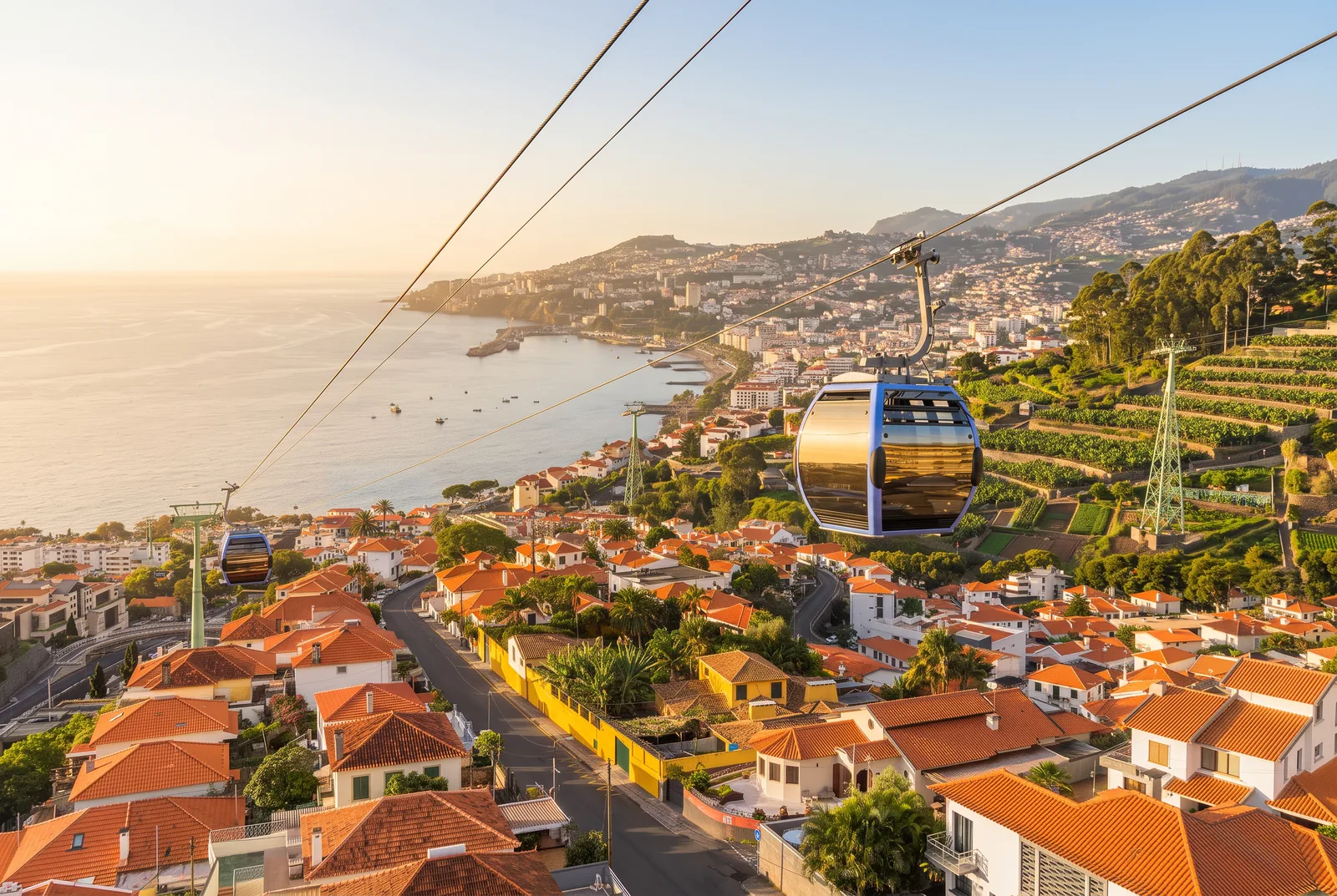 Cable car gondolas on their line above orange rooftops with Funchal bay behind