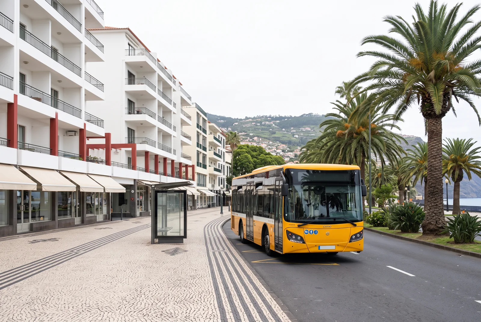 A city bus at a glass shelter on a Funchal avenue, with hotels on one side and palms on the other