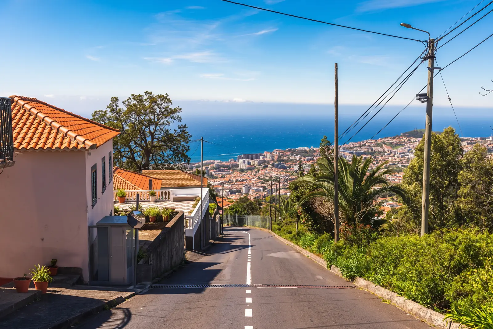 The steep road down from Livramento, with Funchal and its bay still far below